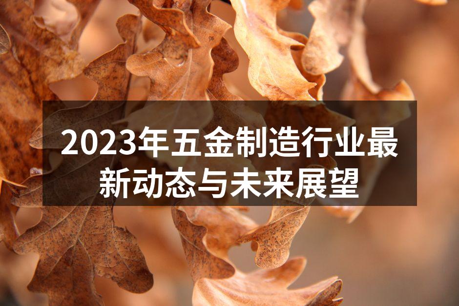 2023年五金制造行业最新动态与未来展望